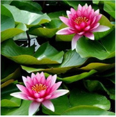 不朽情缘MG官方网站(试玩)游戏登录入口