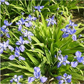 不朽情缘MG官方网站(试玩)游戏登录入口