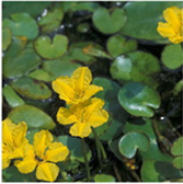 不朽情缘MG官方网站(试玩)游戏登录入口