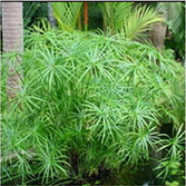 不朽情缘MG官方网站(试玩)游戏登录入口