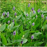 不朽情缘MG官方网站(试玩)游戏登录入口