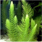 不朽情缘MG官方网站(试玩)游戏登录入口