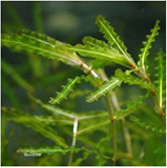 不朽情缘MG官方网站(试玩)游戏登录入口