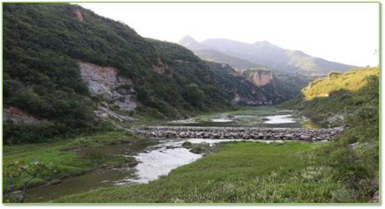 不朽情缘MG官方网站(试玩)游戏登录入口