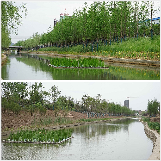 不朽情缘MG官方网站(试玩)游戏登录入口