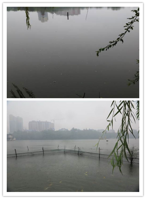 不朽情缘MG官方网站(试玩)游戏登录入口