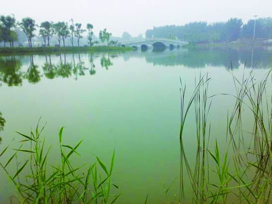 不朽情缘MG官方网站(试玩)游戏登录入口