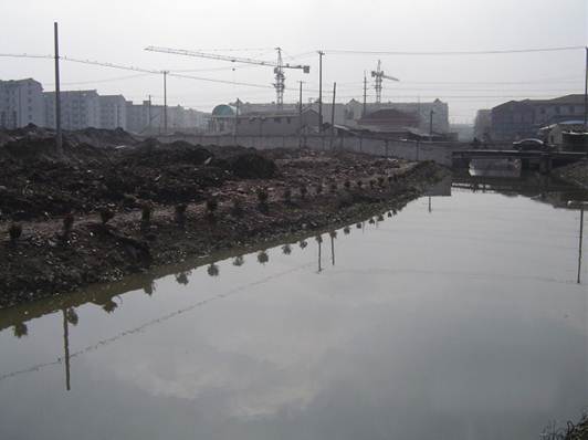 不朽情缘MG官方网站(试玩)游戏登录入口