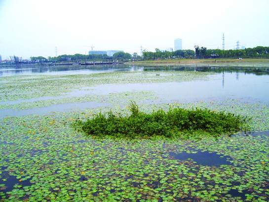 不朽情缘MG官方网站(试玩)游戏登录入口