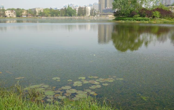 不朽情缘MG官方网站(试玩)游戏登录入口