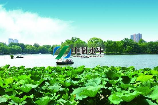 不朽情缘MG官方网站(试玩)游戏登录入口