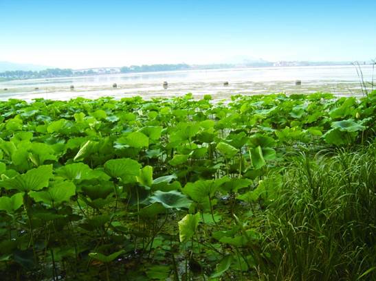 不朽情缘MG官方网站(试玩)游戏登录入口