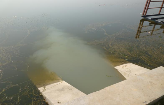 不朽情缘MG官方网站(试玩)游戏登录入口