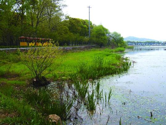 不朽情缘MG官方网站(试玩)游戏登录入口