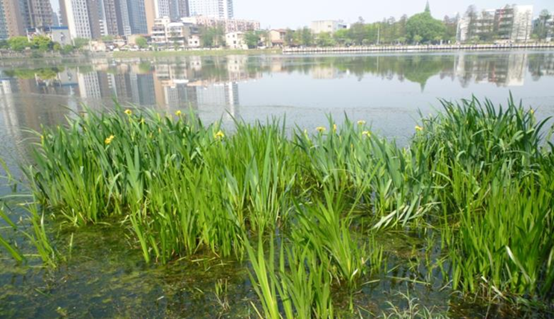 不朽情缘MG官方网站(试玩)游戏登录入口