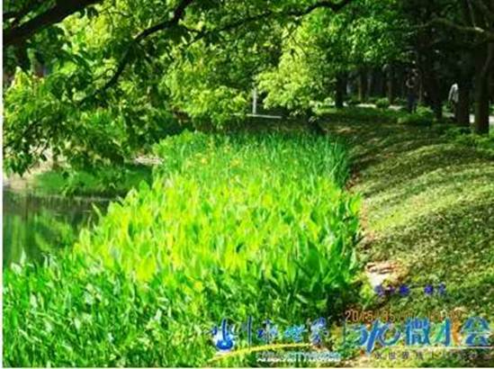 不朽情缘MG官方网站(试玩)游戏登录入口