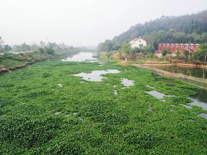 不朽情缘MG官方网站(试玩)游戏登录入口