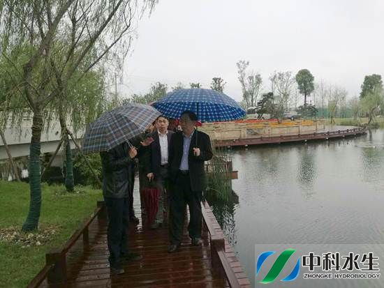 不朽情缘MG官方网站(试玩)游戏登录入口