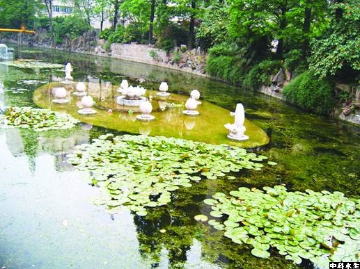 不朽情缘MG官方网站(试玩)游戏登录入口