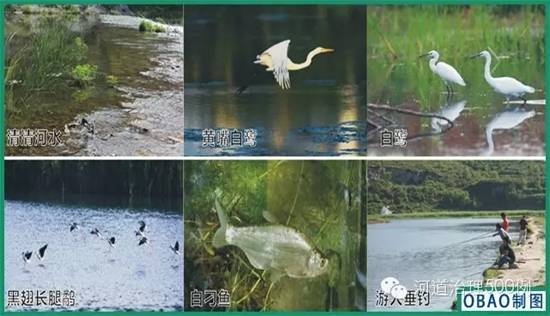 不朽情缘MG官方网站(试玩)游戏登录入口