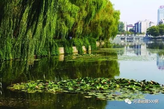 不朽情缘MG官方网站(试玩)游戏登录入口