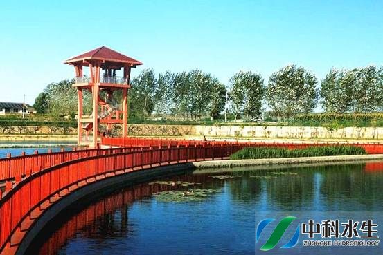 不朽情缘MG官方网站(试玩)游戏登录入口