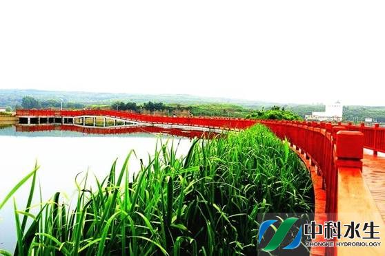 不朽情缘MG官方网站(试玩)游戏登录入口