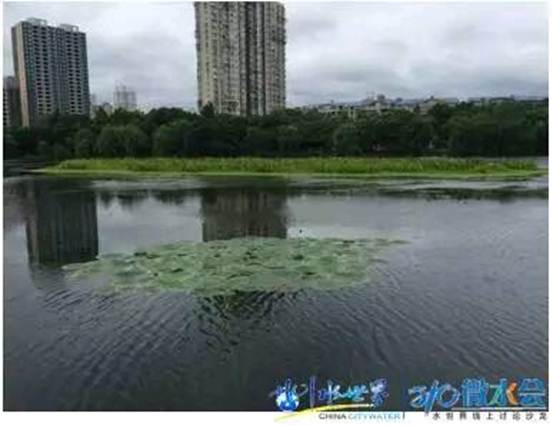 不朽情缘MG官方网站(试玩)游戏登录入口