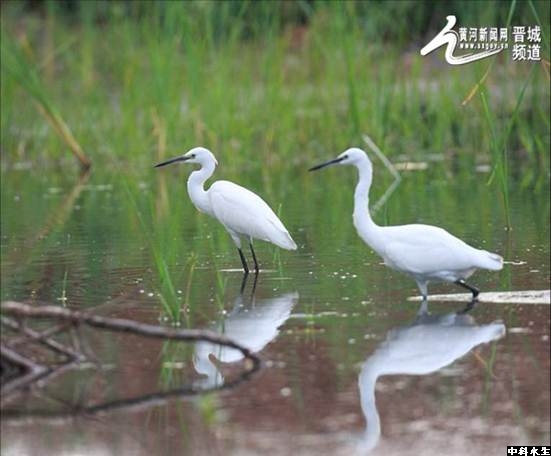 不朽情缘MG官方网站(试玩)游戏登录入口