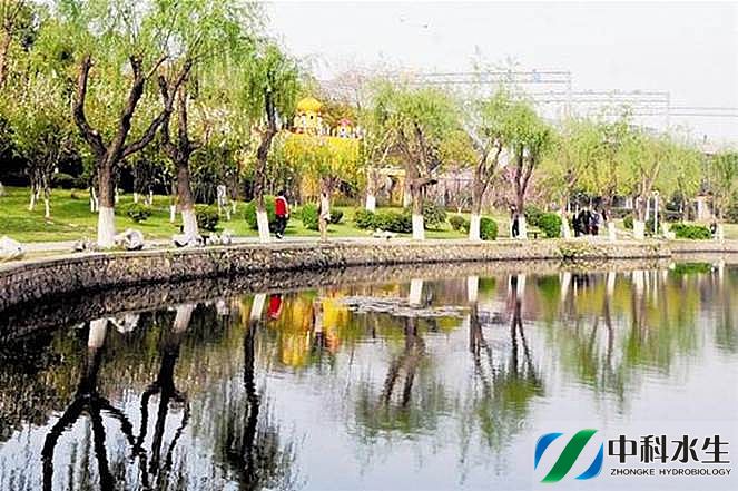 不朽情缘MG官方网站(试玩)游戏登录入口