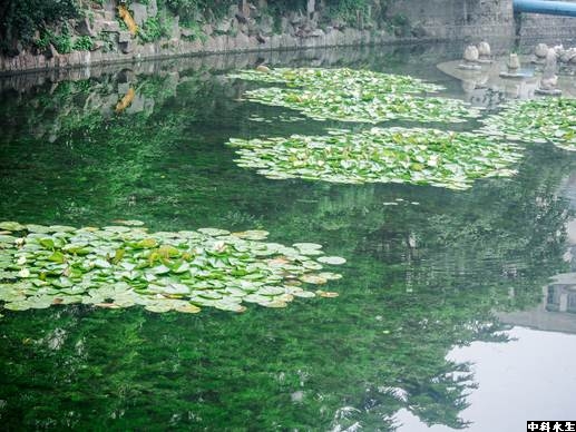 不朽情缘MG官方网站(试玩)游戏登录入口