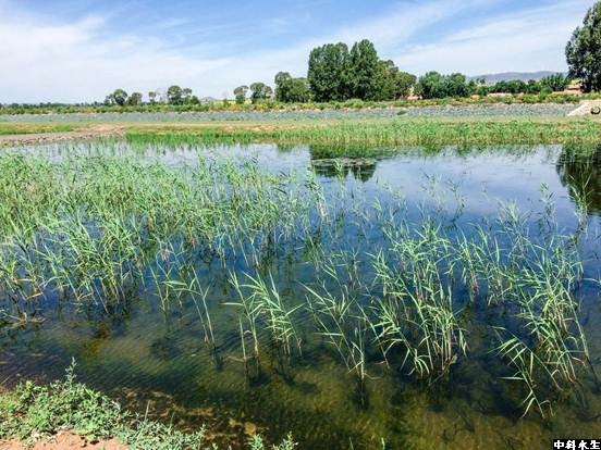 不朽情缘MG官方网站(试玩)游戏登录入口