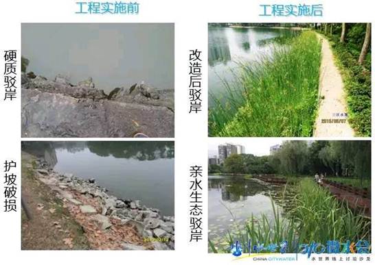 不朽情缘MG官方网站(试玩)游戏登录入口