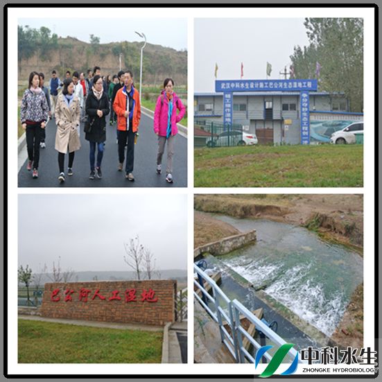 不朽情缘MG官方网站(试玩)游戏登录入口