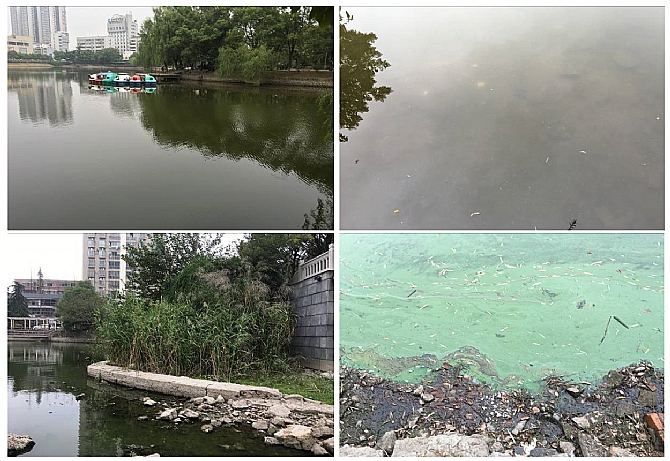 不朽情缘MG官方网站(试玩)游戏登录入口