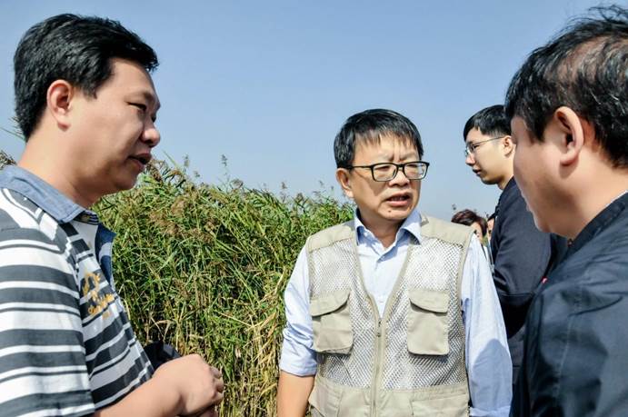 不朽情缘MG官方网站(试玩)游戏登录入口