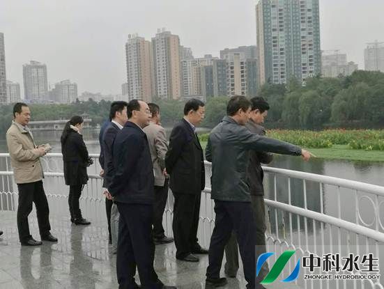 不朽情缘MG官方网站(试玩)游戏登录入口