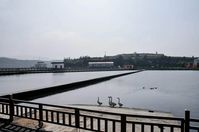 不朽情缘MG官方网站(试玩)游戏登录入口