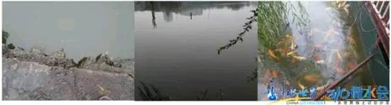 不朽情缘MG官方网站(试玩)游戏登录入口