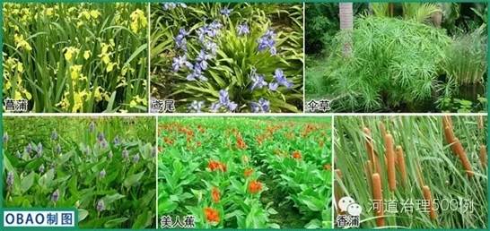 不朽情缘MG官方网站(试玩)游戏登录入口