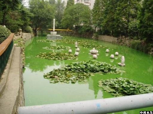 不朽情缘MG官方网站(试玩)游戏登录入口