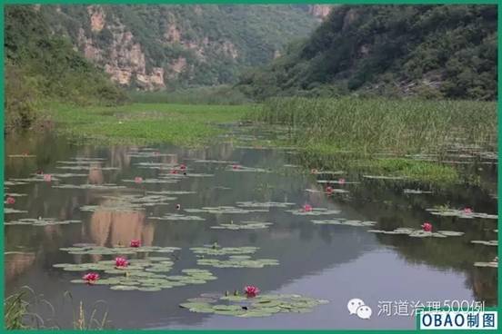 不朽情缘MG官方网站(试玩)游戏登录入口