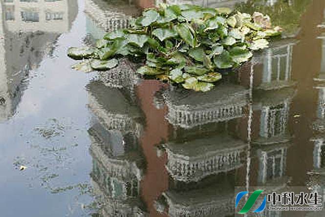 不朽情缘MG官方网站(试玩)游戏登录入口