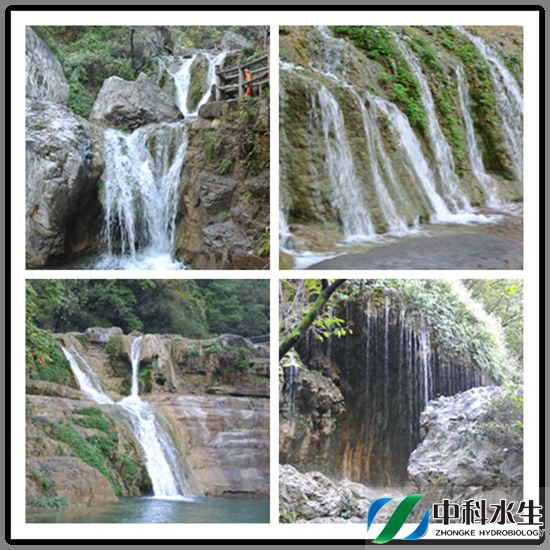 不朽情缘MG官方网站(试玩)游戏登录入口