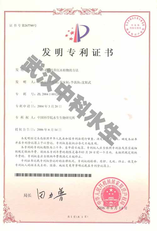 不朽情缘MG官方网站(试玩)游戏登录入口