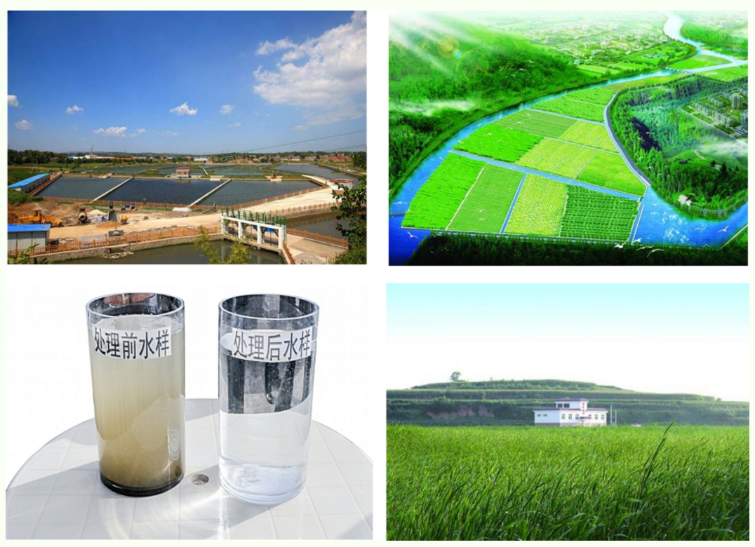 不朽情缘MG官方网站(试玩)游戏登录入口