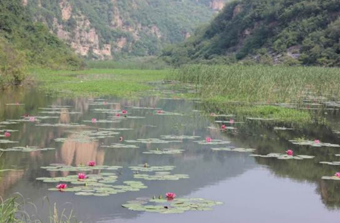 不朽情缘MG官方网站(试玩)游戏登录入口