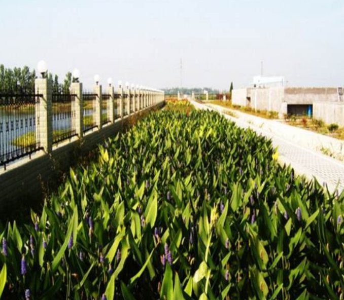 不朽情缘MG官方网站(试玩)游戏登录入口