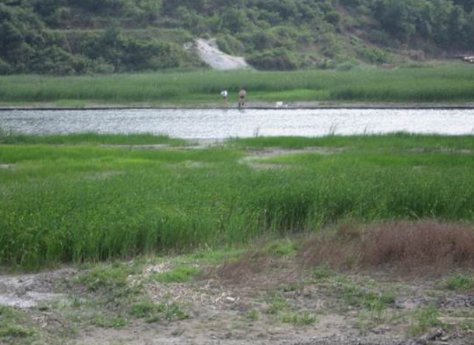 不朽情缘MG官方网站(试玩)游戏登录入口