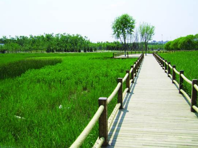 不朽情缘MG官方网站(试玩)游戏登录入口